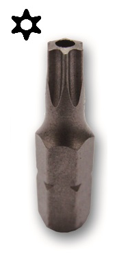 Bits-Torx Tamper (with hole) 25 mmL 1